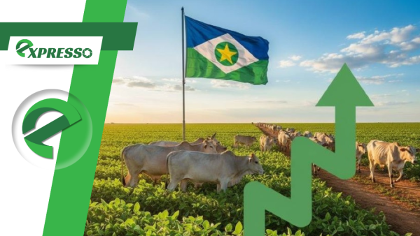 Mato Grosso mantém liderança nacional em crescimento econômico com avanço de 6,6% no PIB