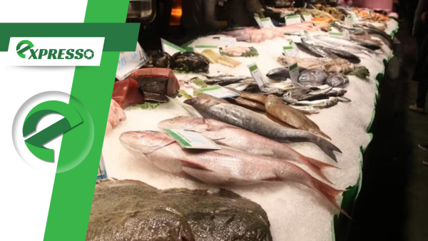 Decreto regulamenta venda de pescado na Feira do Praeirinho após fiscalizações em Cuiabá