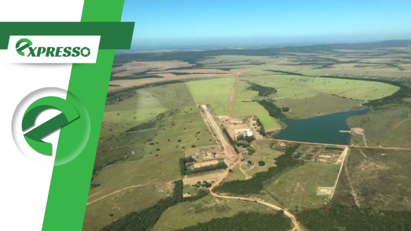 Justiça retoma disputa bilionária sobre fazenda arrematada por R$ 130 milhões em MT